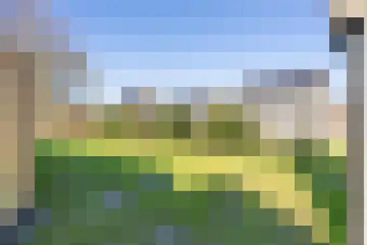 Hoornweg 67 Marum thumbnail 55