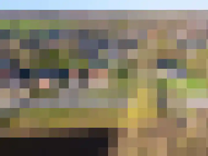Hoornweg 67 Marum thumbnail 8