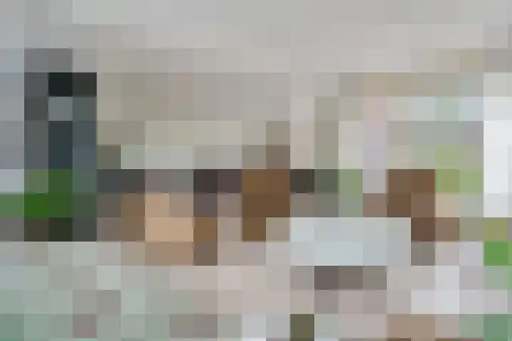 Hooybrink 2 Vledder thumbnail 10