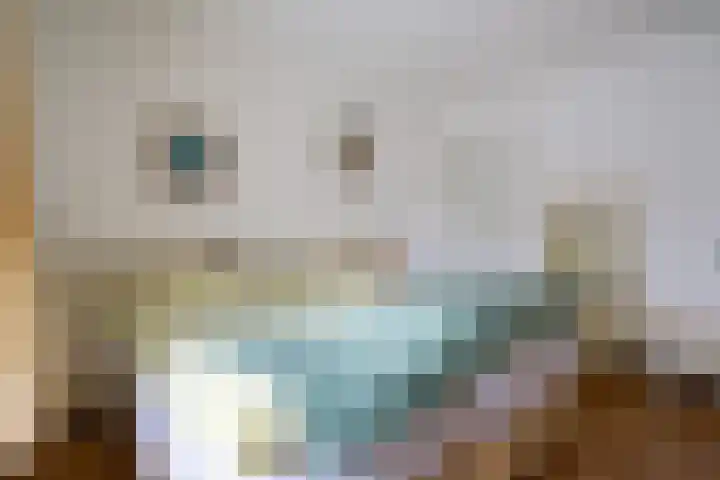 Hooybrink 2 Vledder thumbnail 17