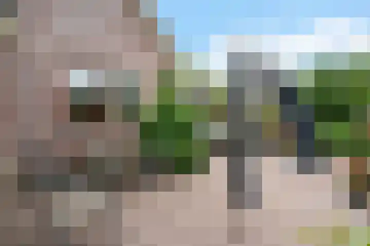 Hooybrink 2 Vledder thumbnail 28