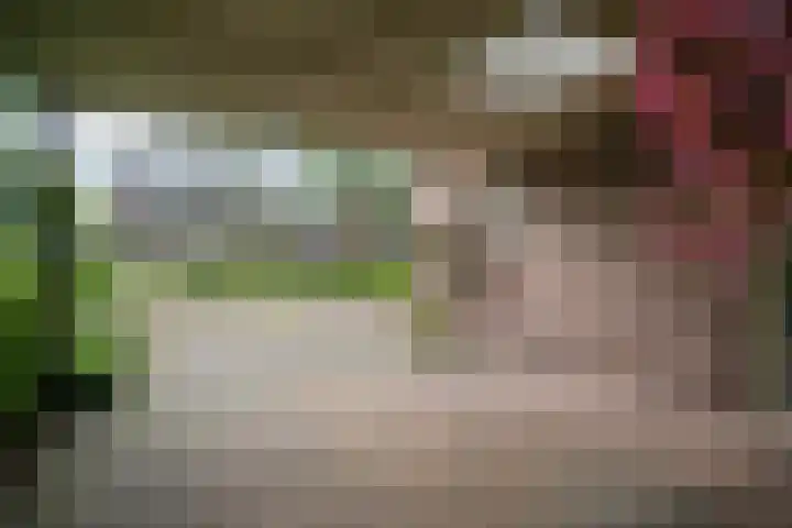 Hooybrink 2 Vledder thumbnail 31