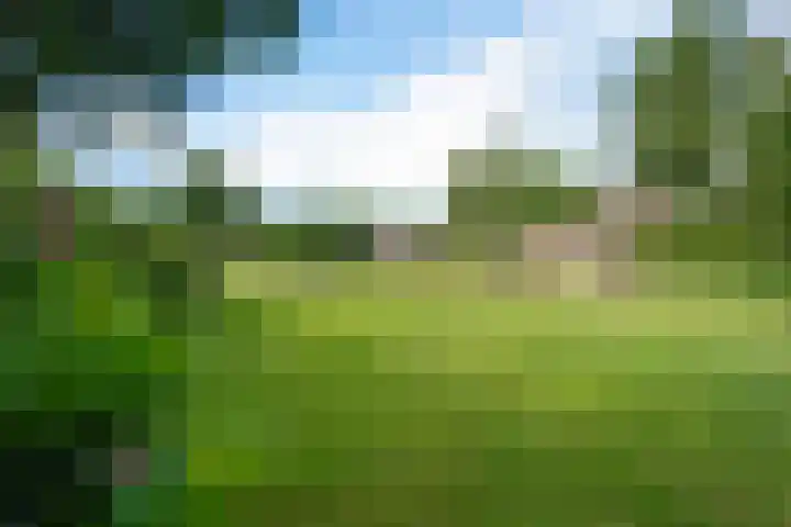 Hooybrink 2 Vledder thumbnail 34