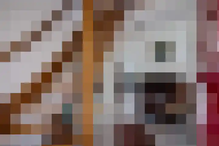 Hooybrink 2 Vledder thumbnail 4