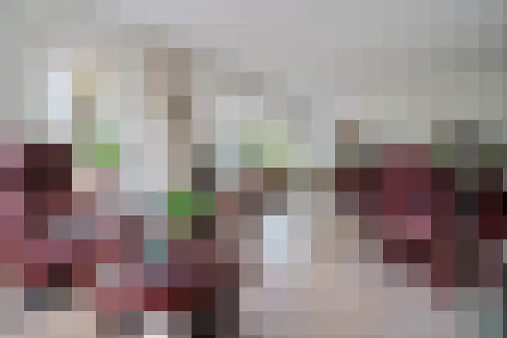 Hooybrink 2 Vledder thumbnail 6