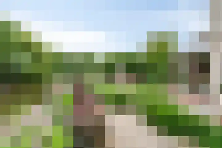 Hopgaarde 5 Gouda thumbnail 22