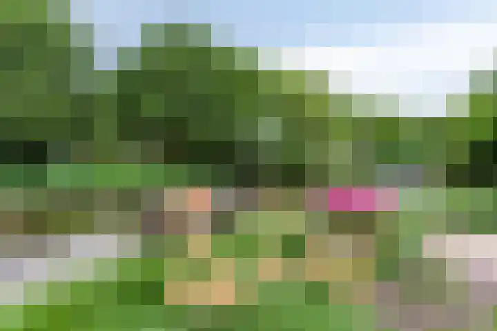 Hopgaarde 5 Gouda thumbnail 26