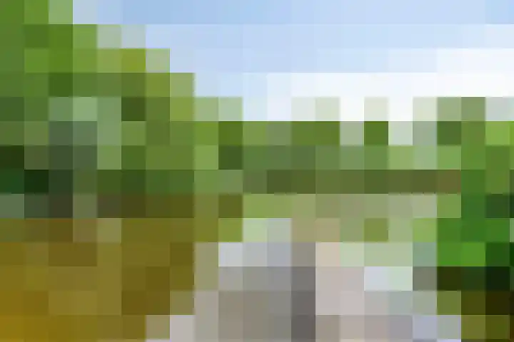 Hopgaarde 5 Gouda thumbnail 28