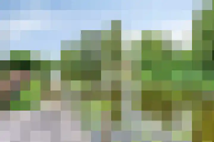 Hopgaarde 5 Gouda thumbnail 29