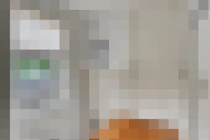 Hopgaarde 5 Gouda thumbnail 30