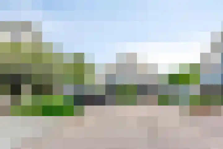 Hopgaarde 5 Gouda thumbnail 8