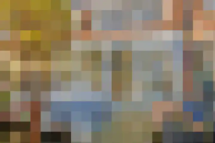 Hopmande 7 Domburg thumbnail 10