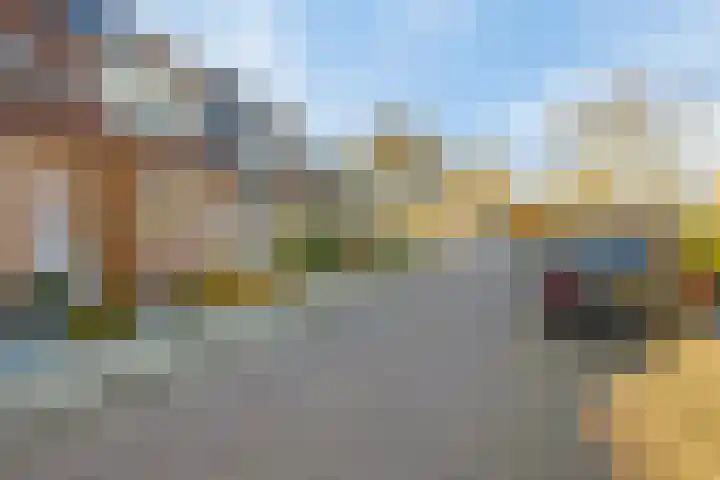 Hopmande 7 Domburg thumbnail 21