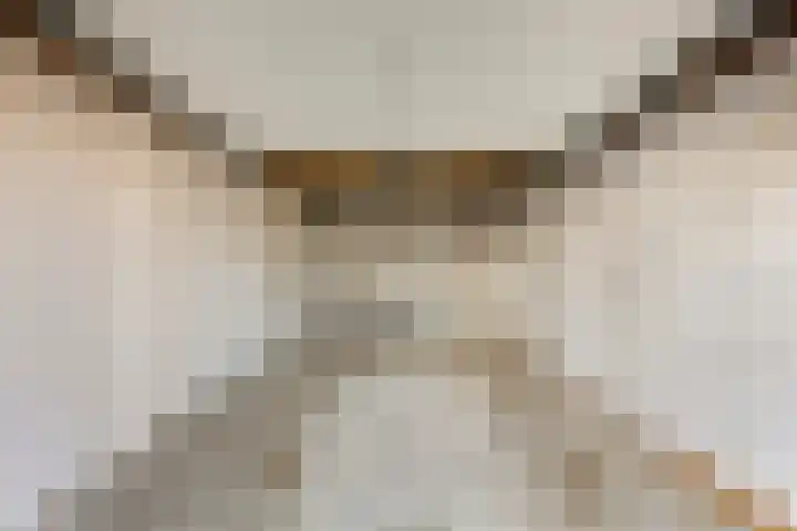 Hopmande 7 Domburg thumbnail 23