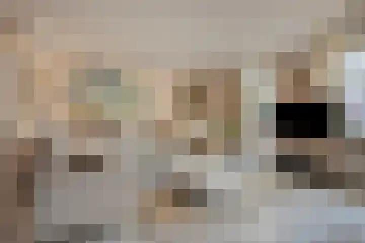 Hopmande 7 Domburg thumbnail 4