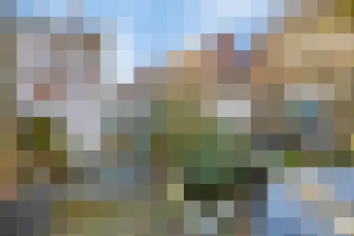 Hopmande 7 Domburg thumbnail 9