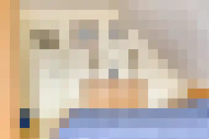 Hoppekampweg 2 D Peize thumbnail 16