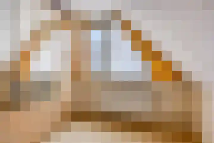 Hoppekampweg 2 D Peize thumbnail 18