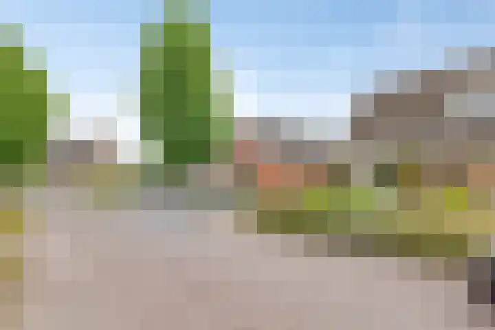 Hoppekampweg 2 D Peize thumbnail 28