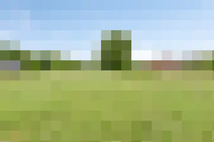 Hoppekampweg 2 D Peize thumbnail 30