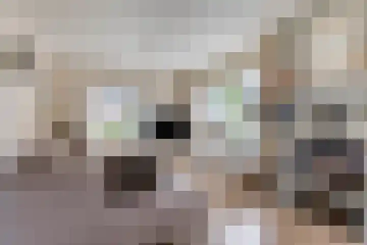 Hoppekampweg 2 D Peize thumbnail 4