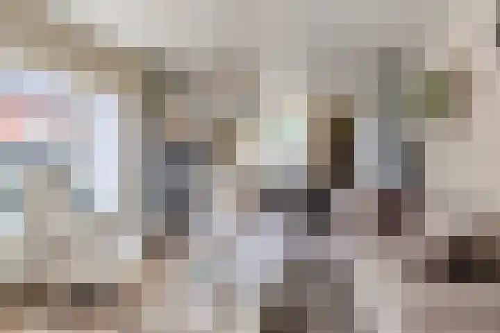 Hoppekampweg 2 D Peize thumbnail 5