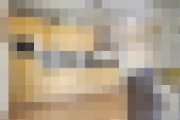 Hoppekampweg 2 D Peize thumbnail 8