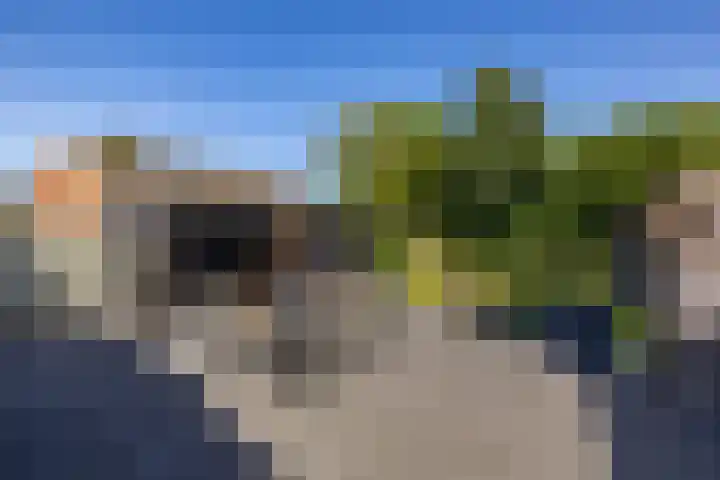 Hoppekampweg 5 Peize thumbnail 20