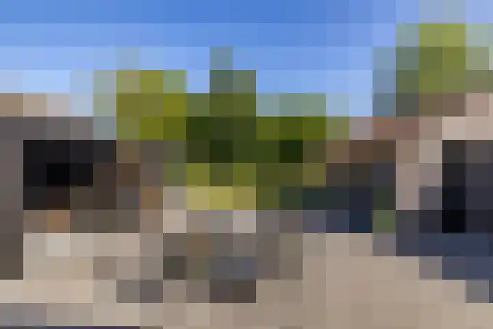 Hoppekampweg 5 Peize thumbnail 21