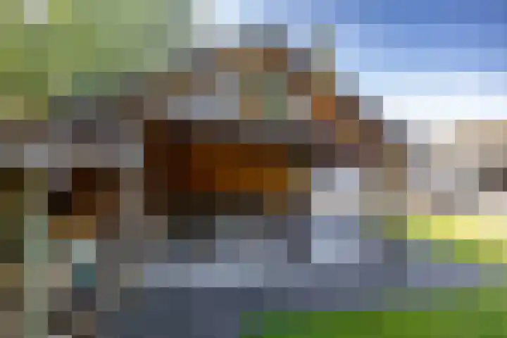Hoppekampweg 5 Peize thumbnail 25