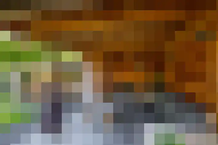 Hoppekampweg 5 Peize thumbnail 26