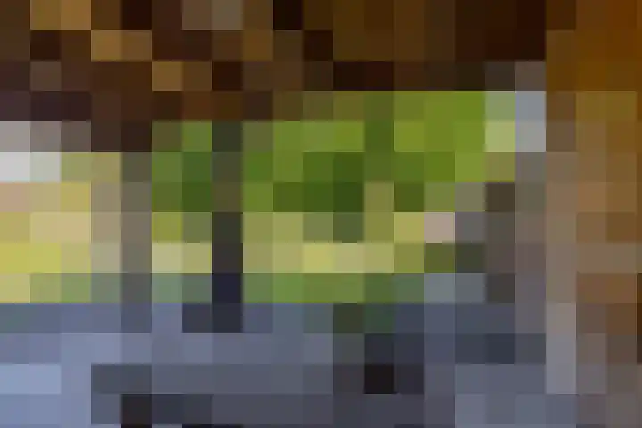 Hoppekampweg 5 Peize thumbnail 27
