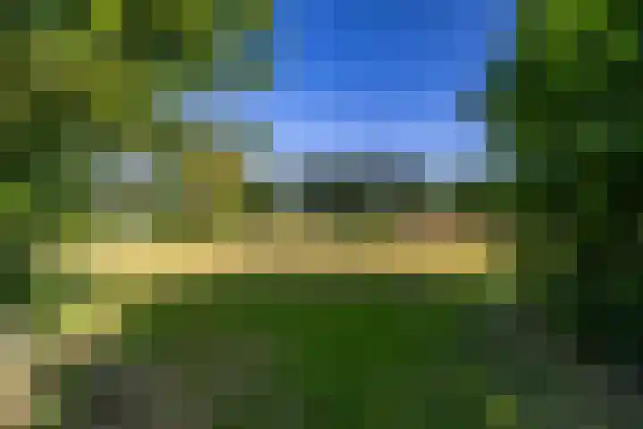 Hoppekampweg 5 Peize thumbnail 29