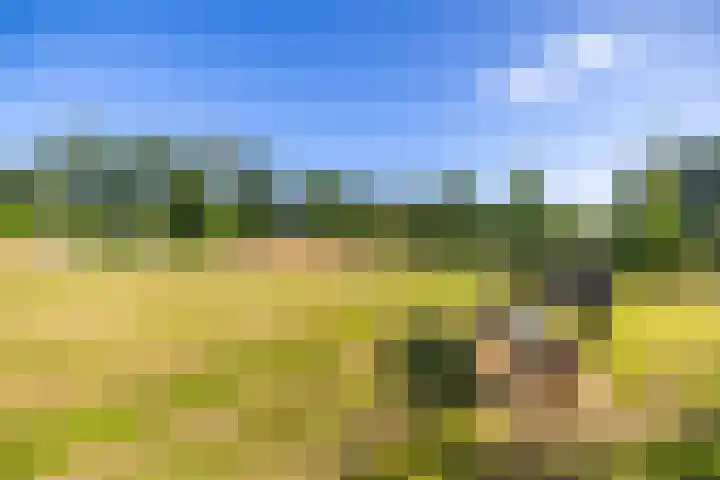 Hoppekampweg 5 Peize thumbnail 30