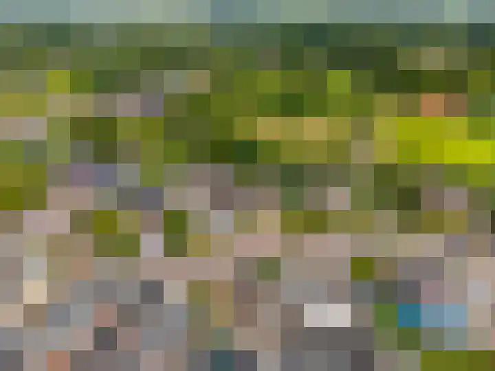 Hoppekampweg 5 Peize thumbnail 41