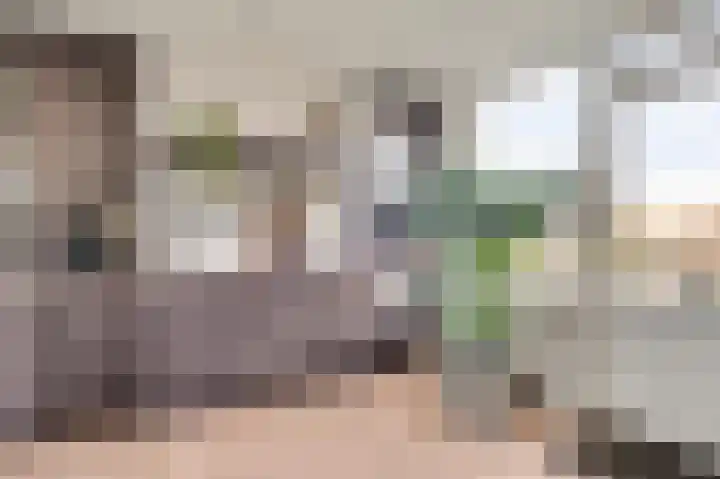 Hoppertstraat 19 Stramproy thumbnail 15