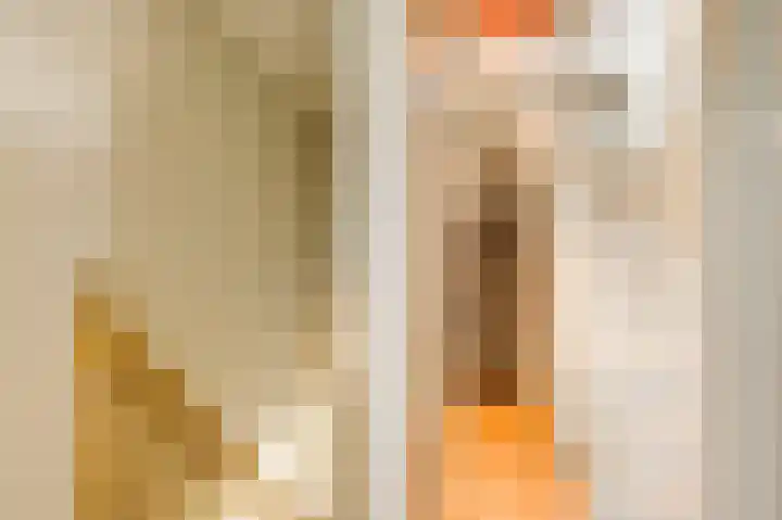 Hoppertstraat 19 Stramproy thumbnail 17