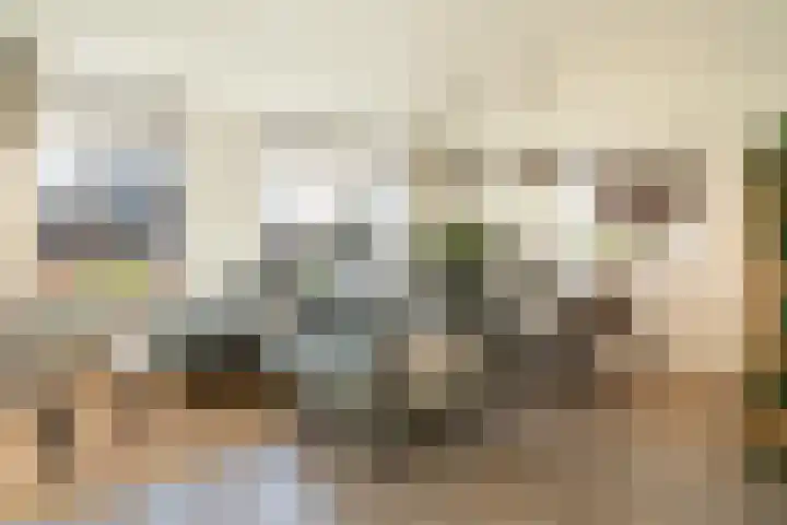 Hoppesteegde 70 Appelscha foto 2