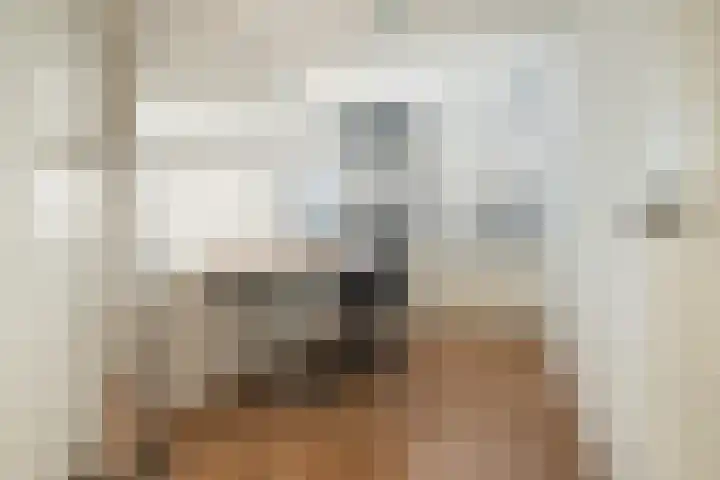 Hoppesteegde 70 Appelscha thumbnail 20