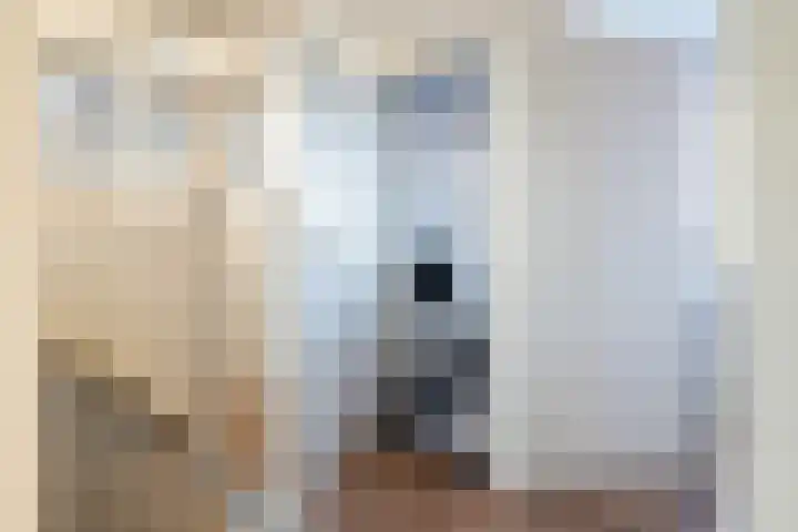 Hoppesteegde 70 Appelscha thumbnail 21