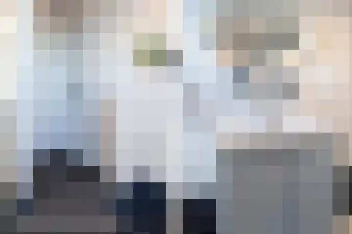 Hoppesteegde 70 Appelscha thumbnail 23