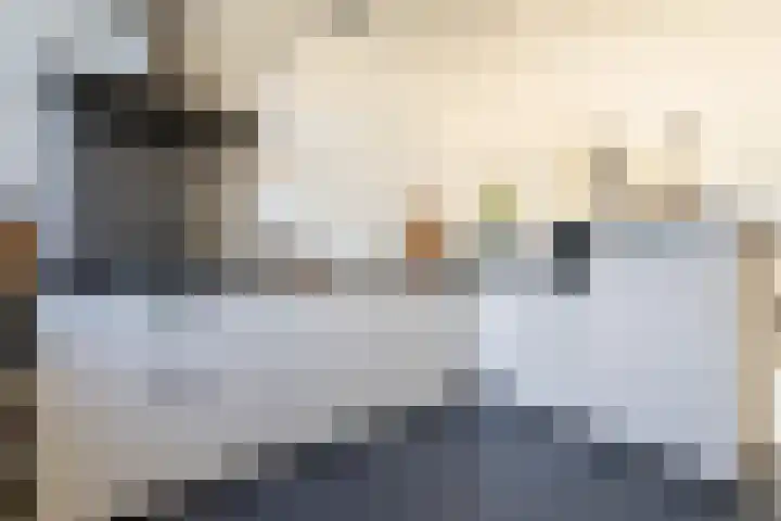 Hoppesteegde 70 Appelscha foto 3