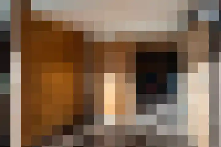 Hoppesteegde 70 Appelscha thumbnail 31