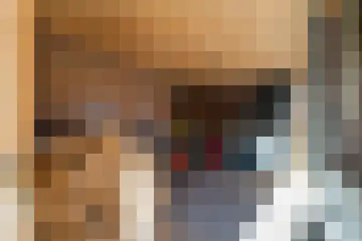 Hoppesteegde 70 Appelscha thumbnail 32