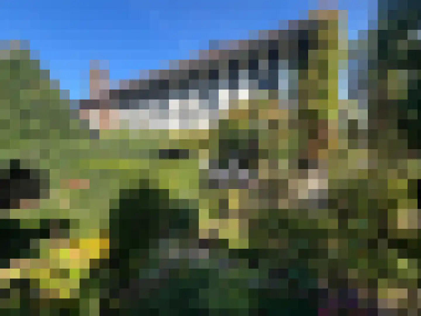 Hopschet 16 Vijlen thumbnail 30