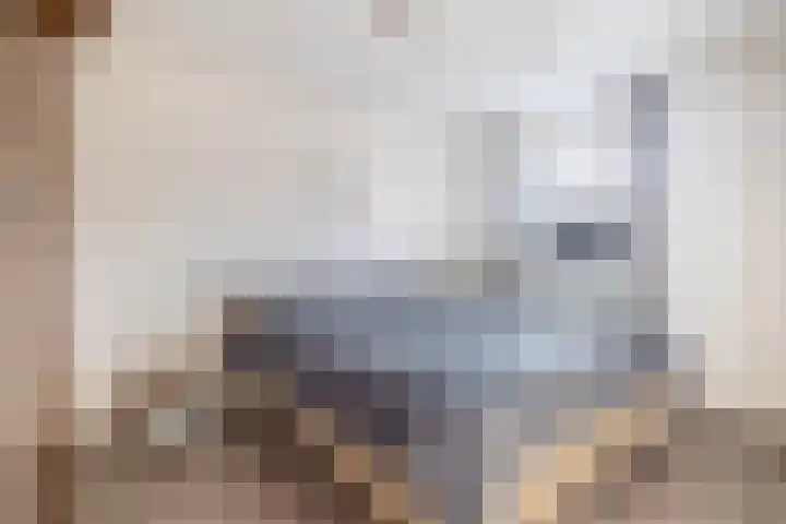 Hopstamper 2 Schijndel thumbnail 12