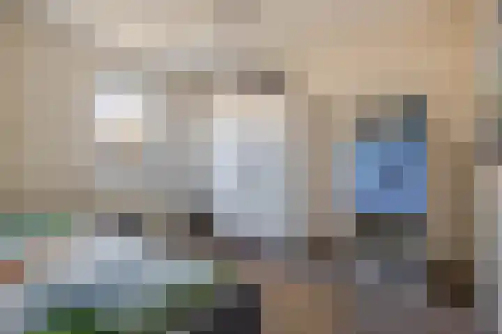 Hopstamper 2 Schijndel thumbnail 15