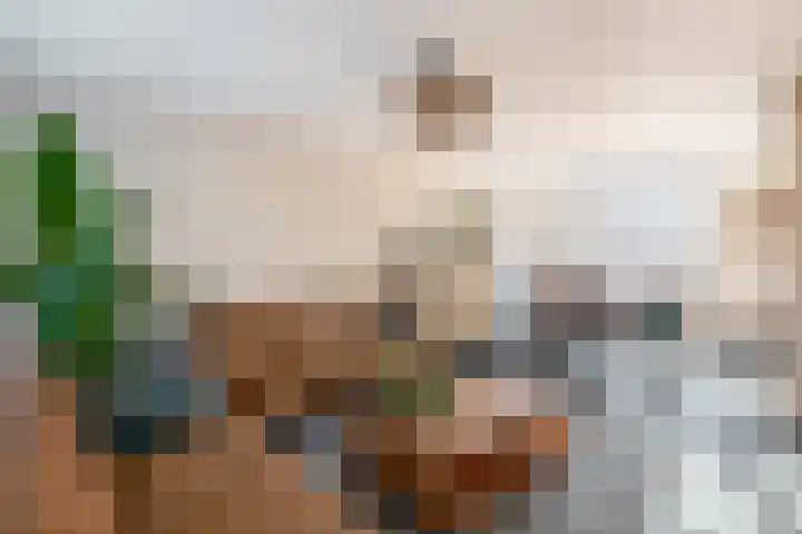 Hopstamper 2 Schijndel thumbnail 6