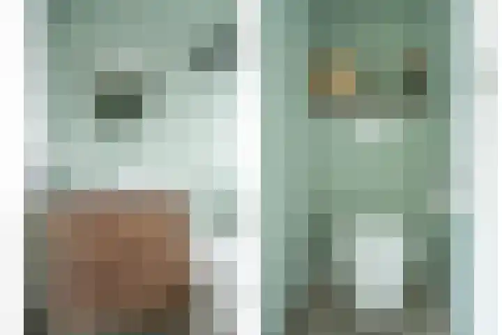 Hopstraat 15 Hedel thumbnail 33
