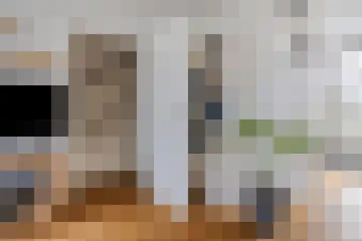 Hopveld 10 Moergestel thumbnail 15